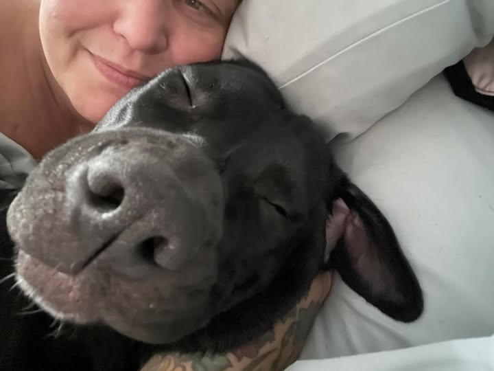 picture of Jamie's dog Sadie